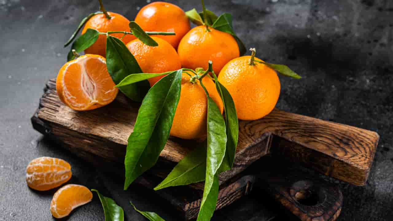 Aprenda Como Plantar Laranja Em Casa E Os Benef Cios Do Consumo Da