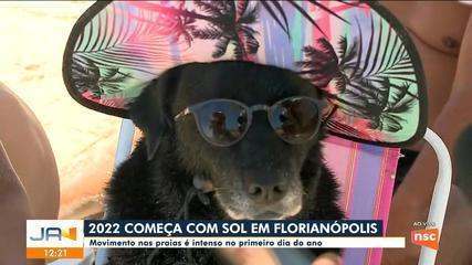 ‘Foi muito legal’, diz jornalista de SC responsável pelo primeiro meme de 2022 com cachorra de chapéu e óculos | Santa Catarina ‘Foi muito legal’, diz jornalista de SC responsável pelo primeiro meme de 2022 com cachorra de chapéu e óculos | Santa Catarina