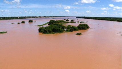Perda de plantações e da produção de leite: veja as consequências das chuvas em Carinhanha, na Bahia