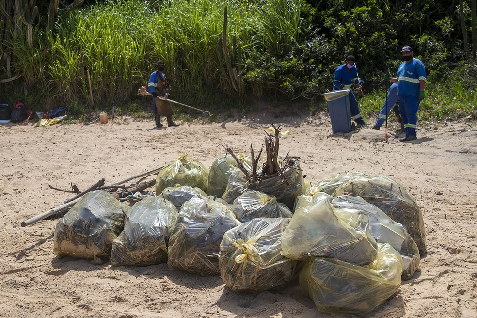 Parte do lixo retirado da Ilha do Francês, em Macaé, no RJ — Foto: Divulgação/Prefeitura de Macaé