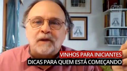 Dicas para iniciantes em vinho: veja como escolher a bebida