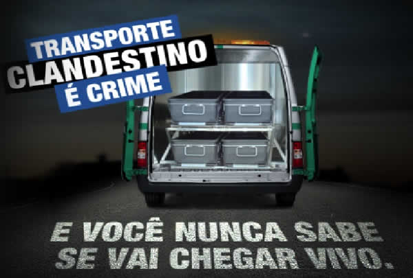 Transporte clandestino na Região dos Lagos conta com cerca de 2.000 veículos