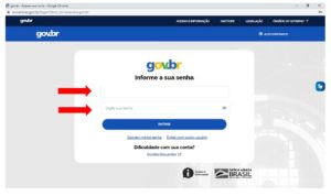 documentos revisão vida toda senha cnis  