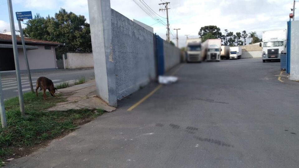 Rapaz de 35 anos é morto a pedradas após briga em Itaperuçu Rapaz de 35 anos é morto a pedradas após briga em Itaperuçu