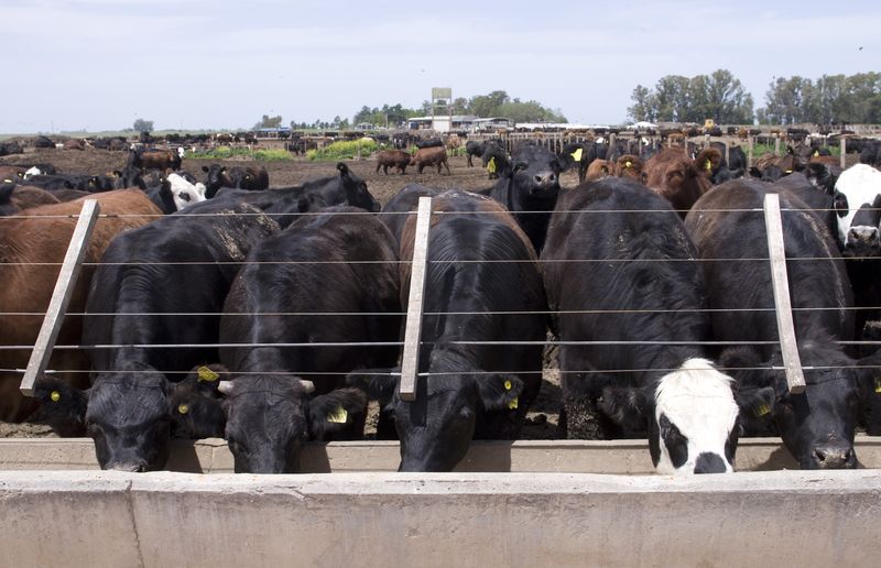 tagreuters.com2022binary_LYNXNPEI2F19W-BASEIMAGE