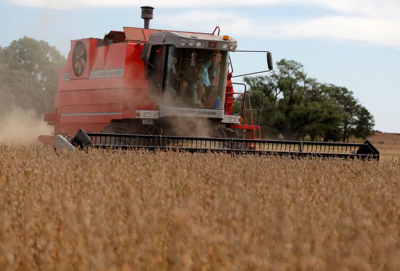 Argentina sobe imposto de exportação de farinha e óleo de soja a 33% até fim do ano