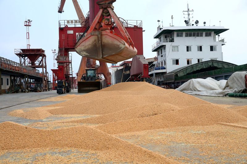Importações da China de soja do Brasil aumentam no 1° bimestre