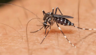 Cabo Frio realiza o segundo Levantamento de Índice Rápido do Aedes aegypti de 2022