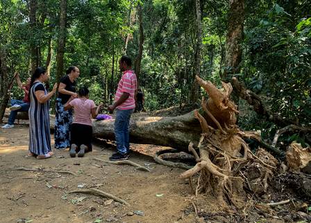 Árvore derrubada com as raízes expostas dentro da Rebio Parque Equitativa e fiéis orando