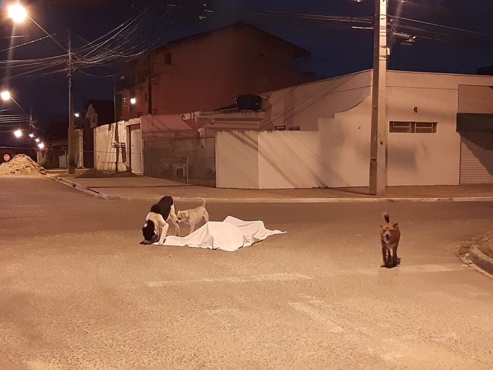 Homem morto Pinhais