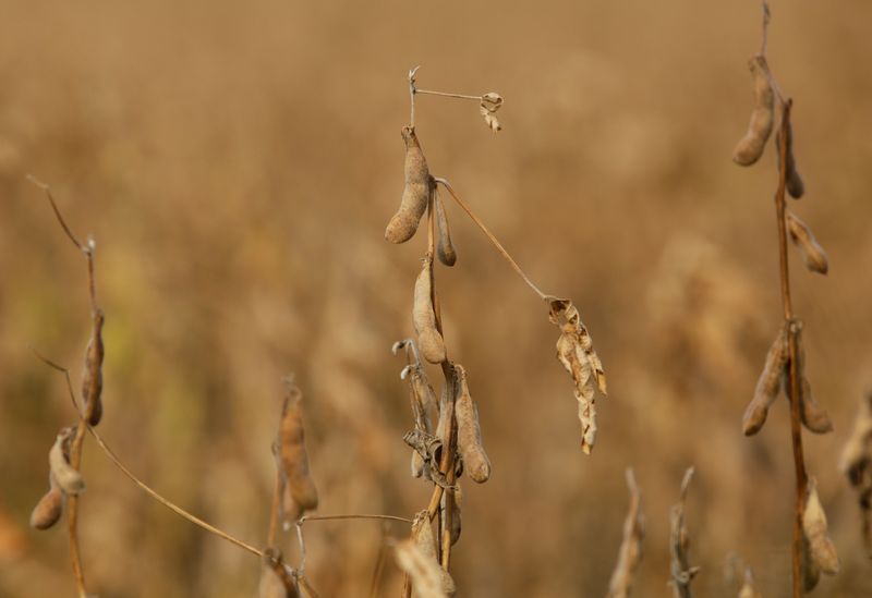 tagreuters.com2022binary_LYNXNPEI302G2-BASEIMAGE