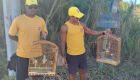 Meio Ambiente de Cabo Frio apreende gaiolas para captura de aves silvestres no Pontal do Peró