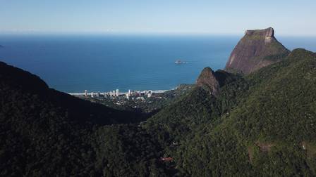 Floresta do Parque Nacional da Tijuca foi replantada ainda no Brasil Império.
