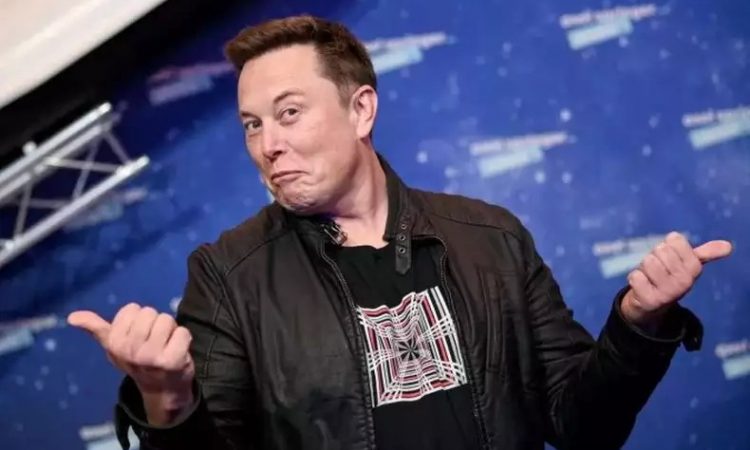 Elon Musk [reprodução]