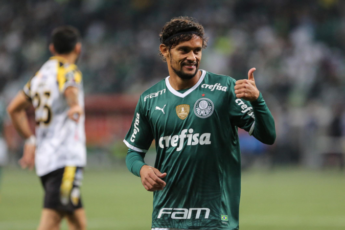 palmeiras