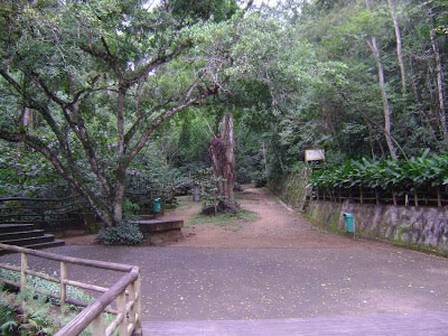 Trilha do Parque Natural Municipal Serra do Mendanha, em Bangu, Zona Oeste do Rio