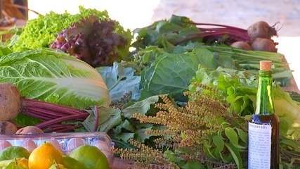 Famílias quilombolas investem em orgânicos e em parcerias para aumentar lucros | Nosso Campo