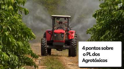 4 pontos sobre o PL dos Agrotóxicos