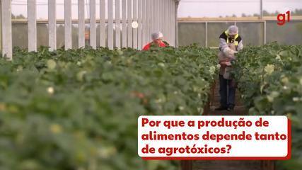 Por que a produção de alimentos depende tanto de agrotóxicos?