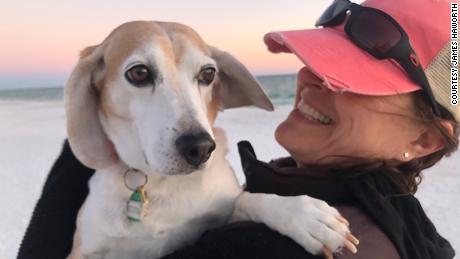 Melanie Kaplan and beagle Alexander &quot;Hammy&quot; Hamilton in Santa Rosa Beach, Florida.
