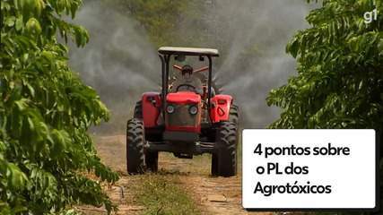 Em defesa de ‘eleições limpas’, grupo ligado ao agronegócio enviará carta a STF, Congresso e ministérios | Agronegócios