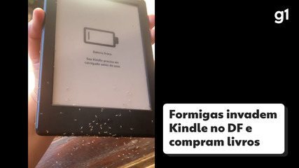 Vídeo: formigas invadem Kindle, compram livros e dona decide congelar aparelho