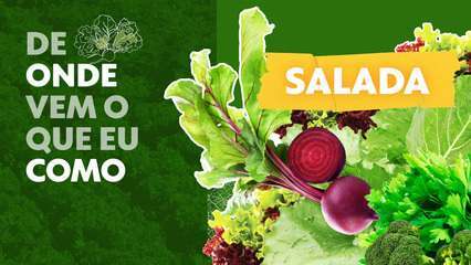 De onde vem o que eu como: salada toma 'banho' com sabão e pode até se 'afogar' De onde vem o que eu como: salada toma