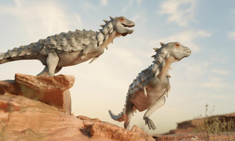 Dinossauro com escudo é encontrado na Argentina