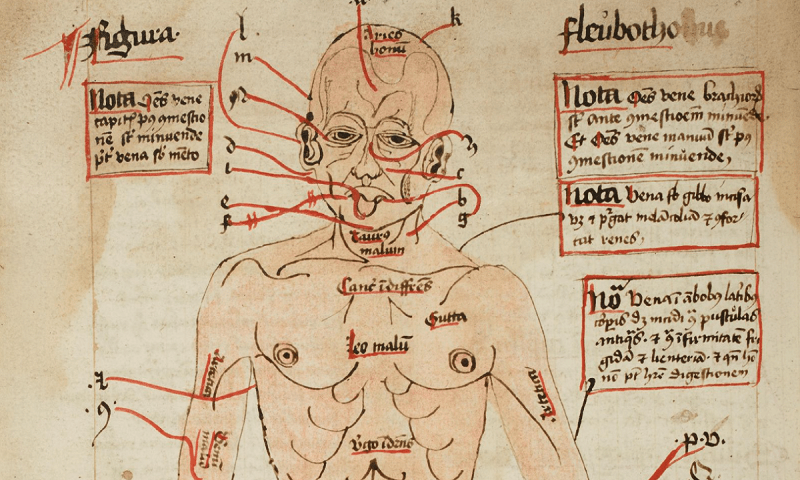 Coruja moída e vesícula de lebre: veja remédios usados na Idade Média