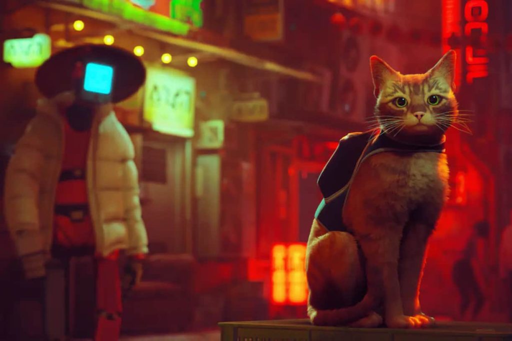 sucesso do jogo ajuda os gatos na vida real sucesso do jogo ajuda os gatos na vida real