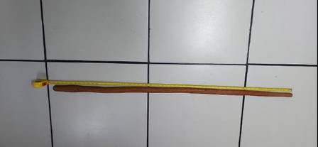 O bastão de madeira, com 1,60 m de comprimento, encontrado no apartamento