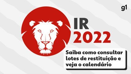 IR 2022: caiu na malha fina ou o dinheiro da restituição não foi depositado? Veja o que fazer | Imposto de Renda