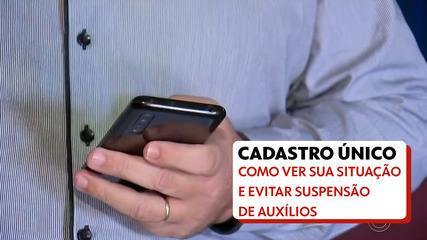 Como ver sua situação no CadÚnico e evitar suspensão de auxílios Como ver sua situação no CadÚnico e evitar suspensão de auxílios