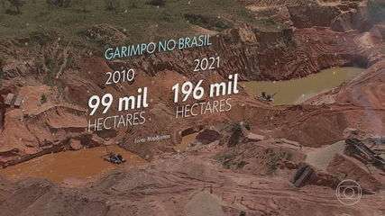Refinadora de ouro brasileira perde ‘selo de aprovação’ em meio a investigação de mineração na Amazônia, diz agência | Economia