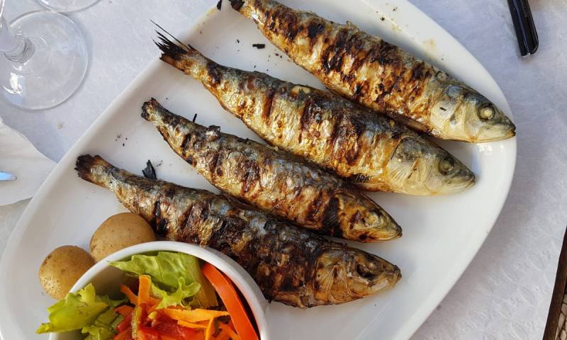 Consumo de pescado pode beneficiar a saúde da população e a economia