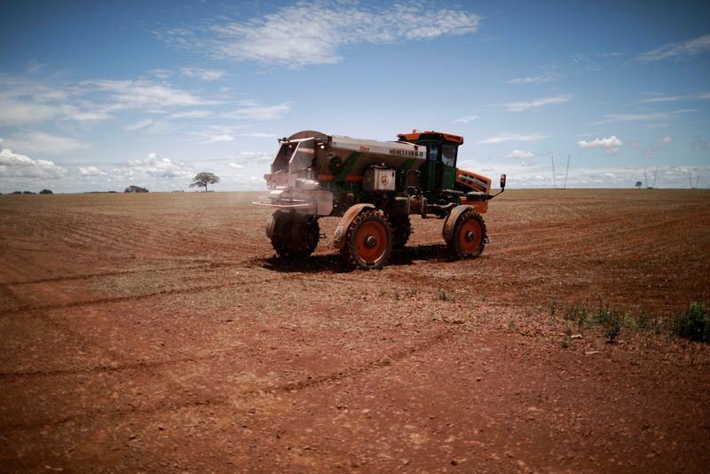 StoneX eleva previsão de safra de soja do Brasil para 153,8 mi t