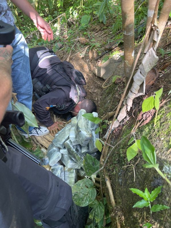 Polícia encontra mais de 40 kg de maconha enterradas em Paraty; veja o vídeo