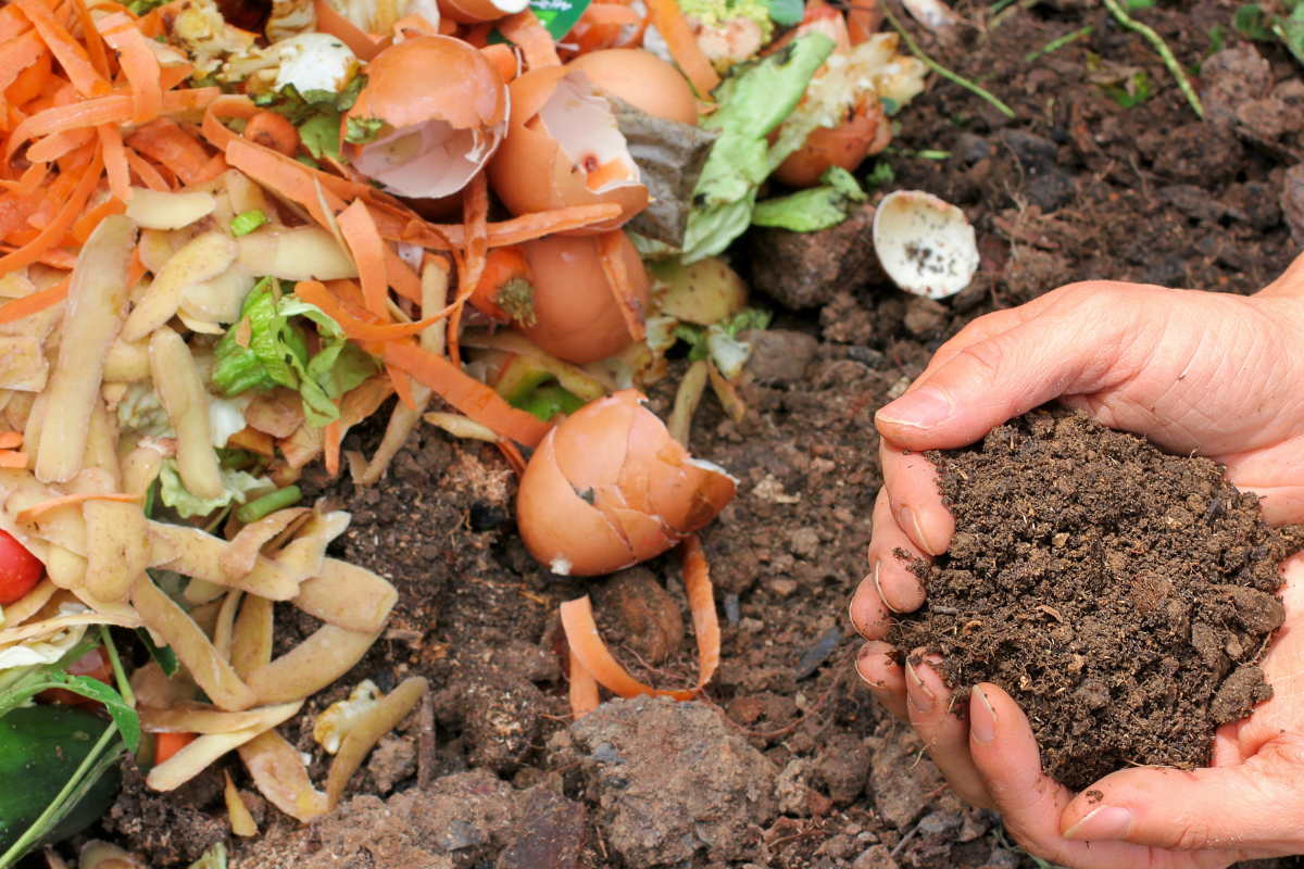 Faça sua composteira caseira e tenha adubo para cultivar suas plantas - Fonte: Canva