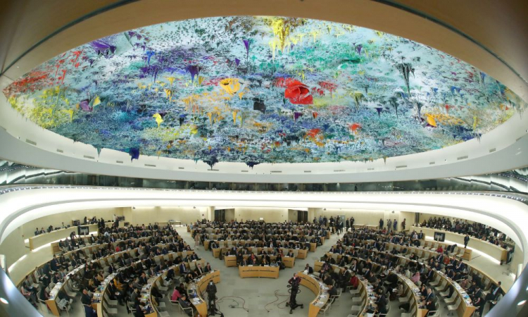 conselho de direitos humanos da ONU
