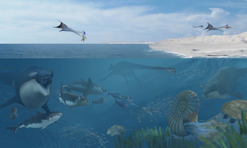 Cientistas encontram nova espécie de pterossauro na costa de Angola