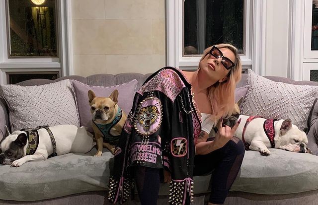 Homem que roubou cachorros de Lady Gaga e atirou em cuidador é condenado a 21 anos de prisão