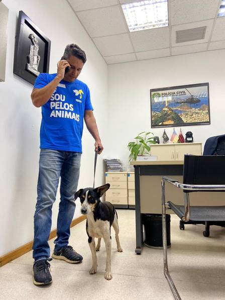 Motorista de carro perseguido por cachorro na Zona Oeste nega ser dono do animal em depoimento à polícia