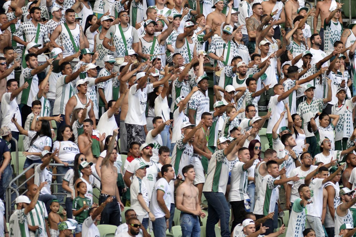 Torcida do Palmeiras