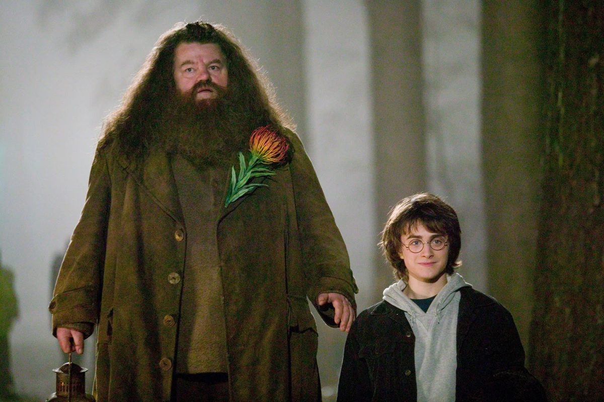 Série inspirada nos livros de Harry Potter é confirmada