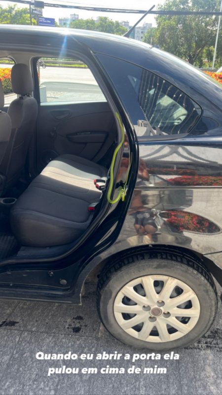 Cobra na porta do carro