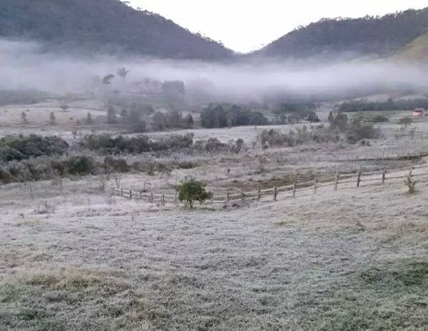 Vegetação amanhece coberta por geada em Visconde de Mauá