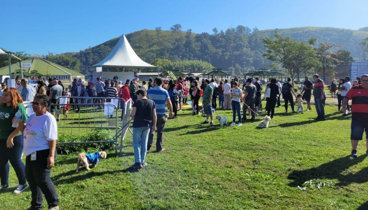 'Caminhada do Amicão' reúne mais de 600 cães em Volta Redonda; veja fotos