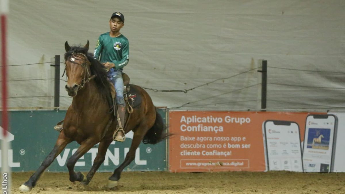 Exposição do Cavalo Mangalarga Marchador vai até próximo sábado (29), em BH 3 exposição de cavalo