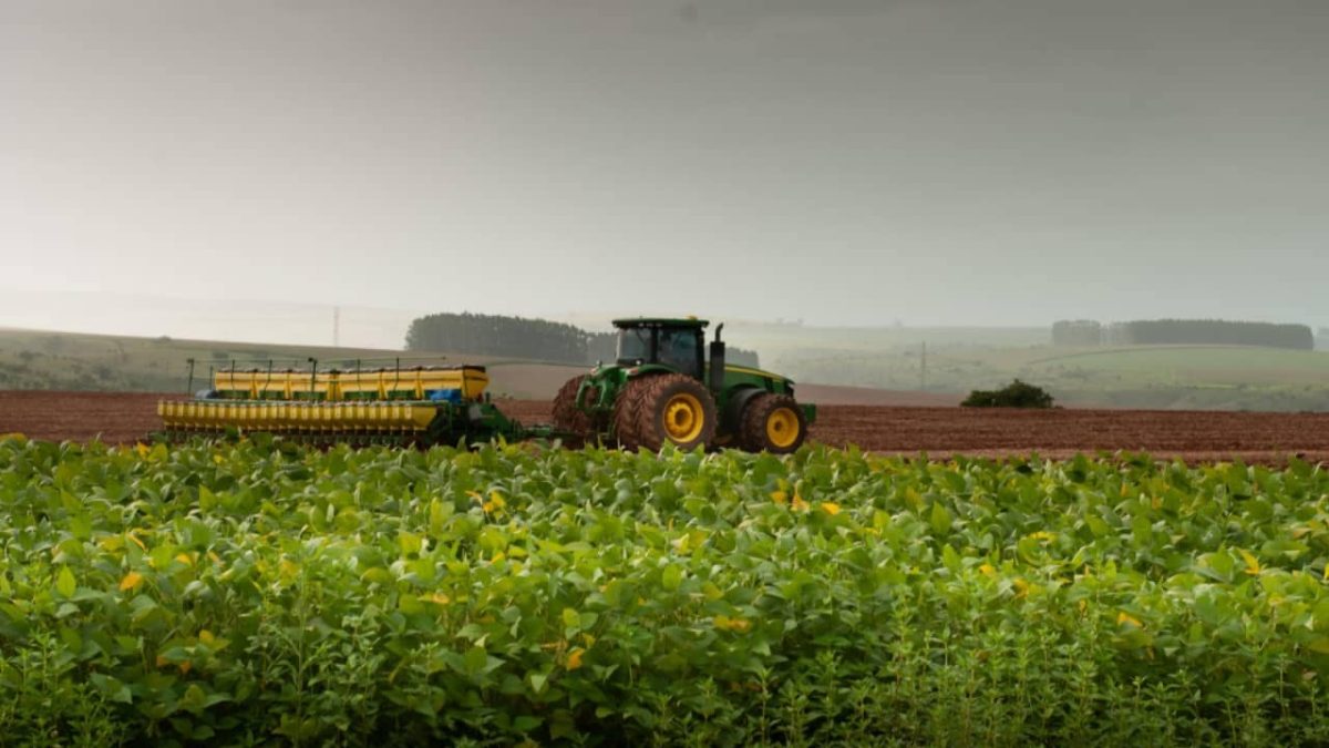 Jataí e Cristalina também estão entre os 15 maiores produtores de soja do país. 