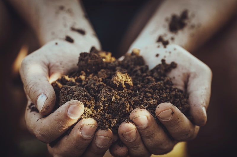 Emater GO abre processo seletivo para mais de 60 vagas; veja como participar 2 Agricultor